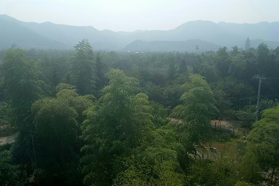 门前景色