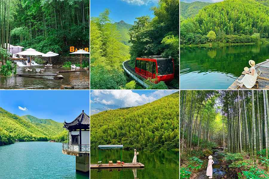 南山竹海