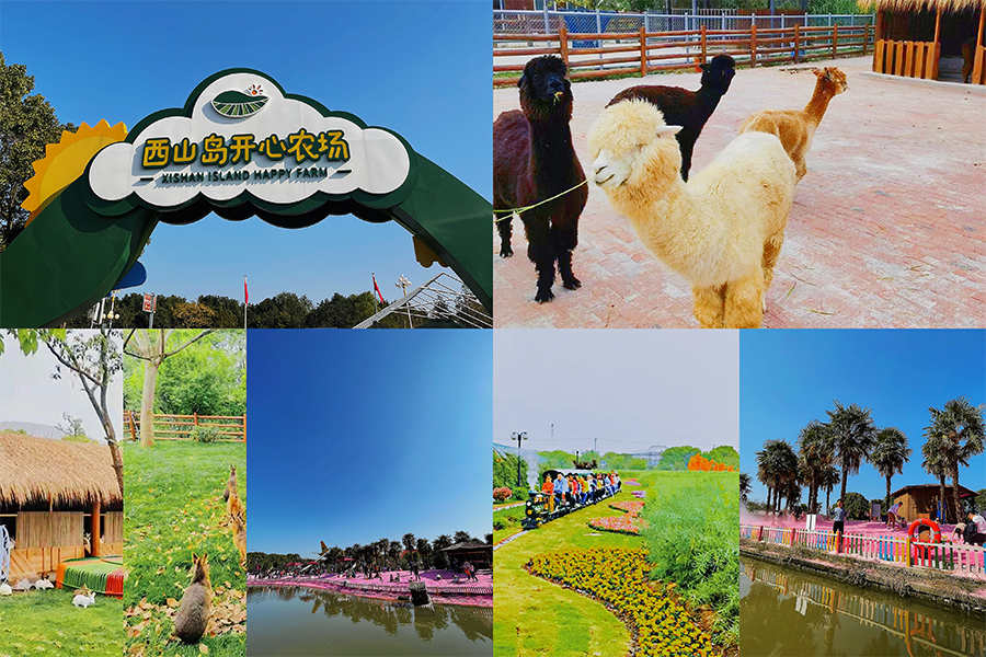 西山岛开心农场
