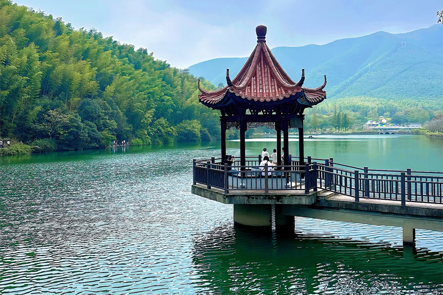 宜兴竹海