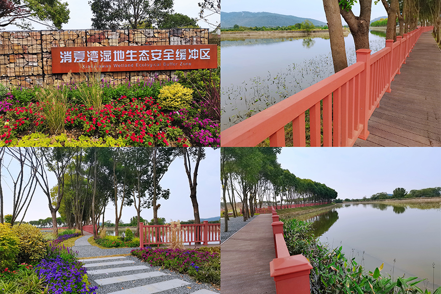 消夏湾湿地公园